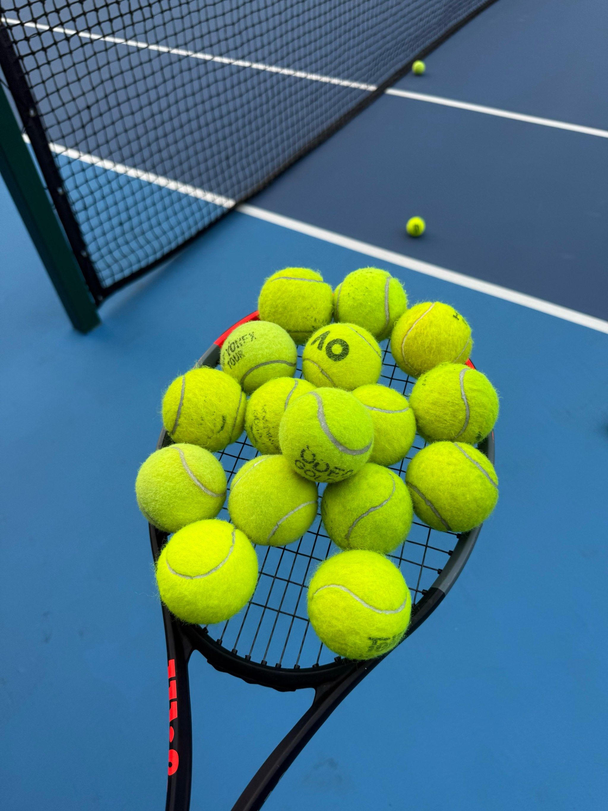 法兰克福将 法兰克福将