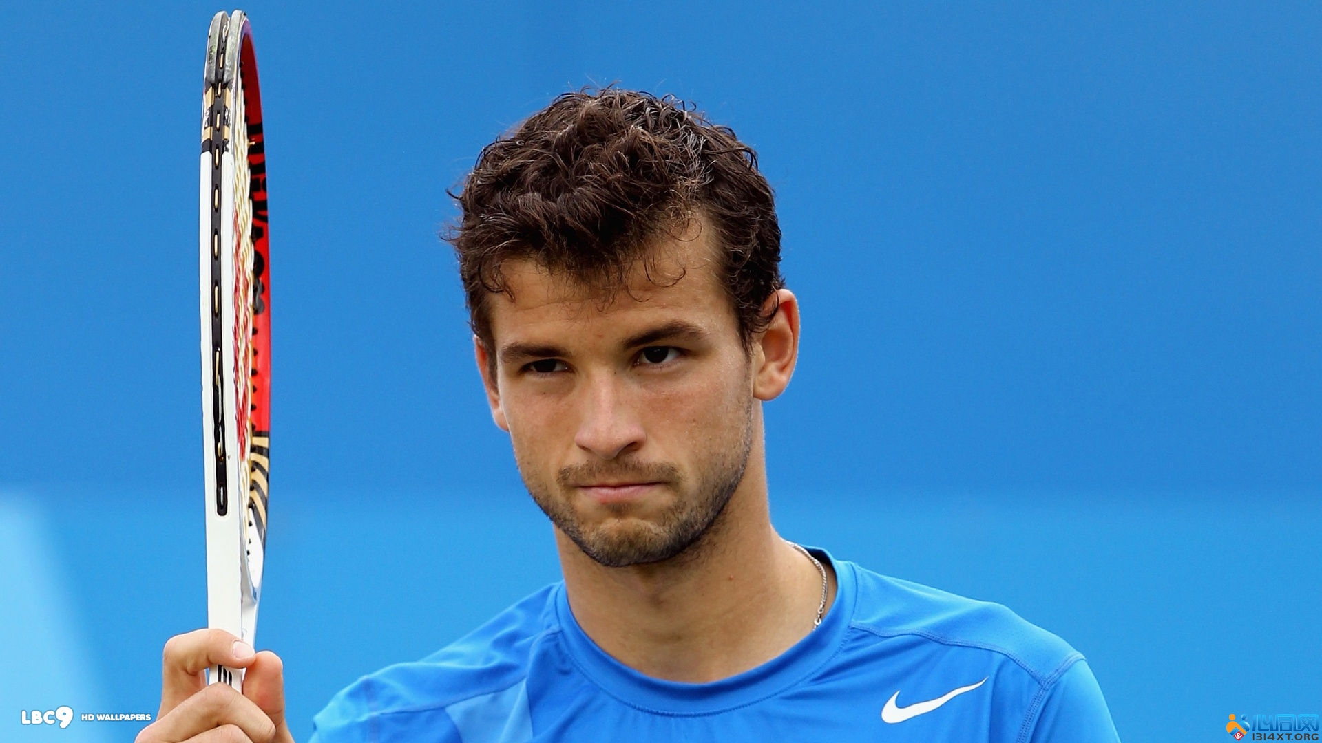 谁将会领导 谁将会领导