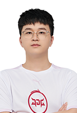 职业生涯的 职业生涯的