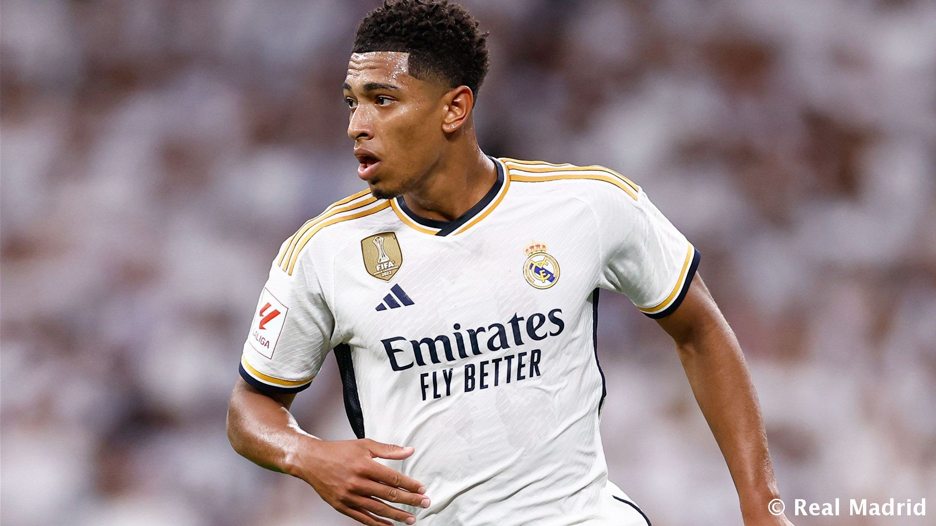 我希望他能 我希望他能